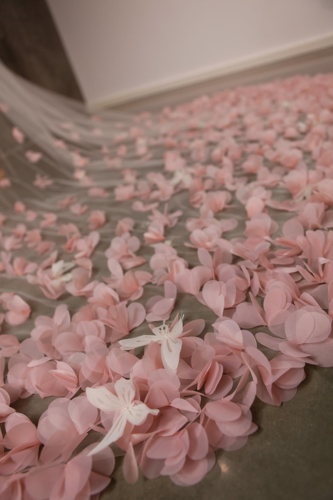 Pink flower petals on a floor with a white box in the background