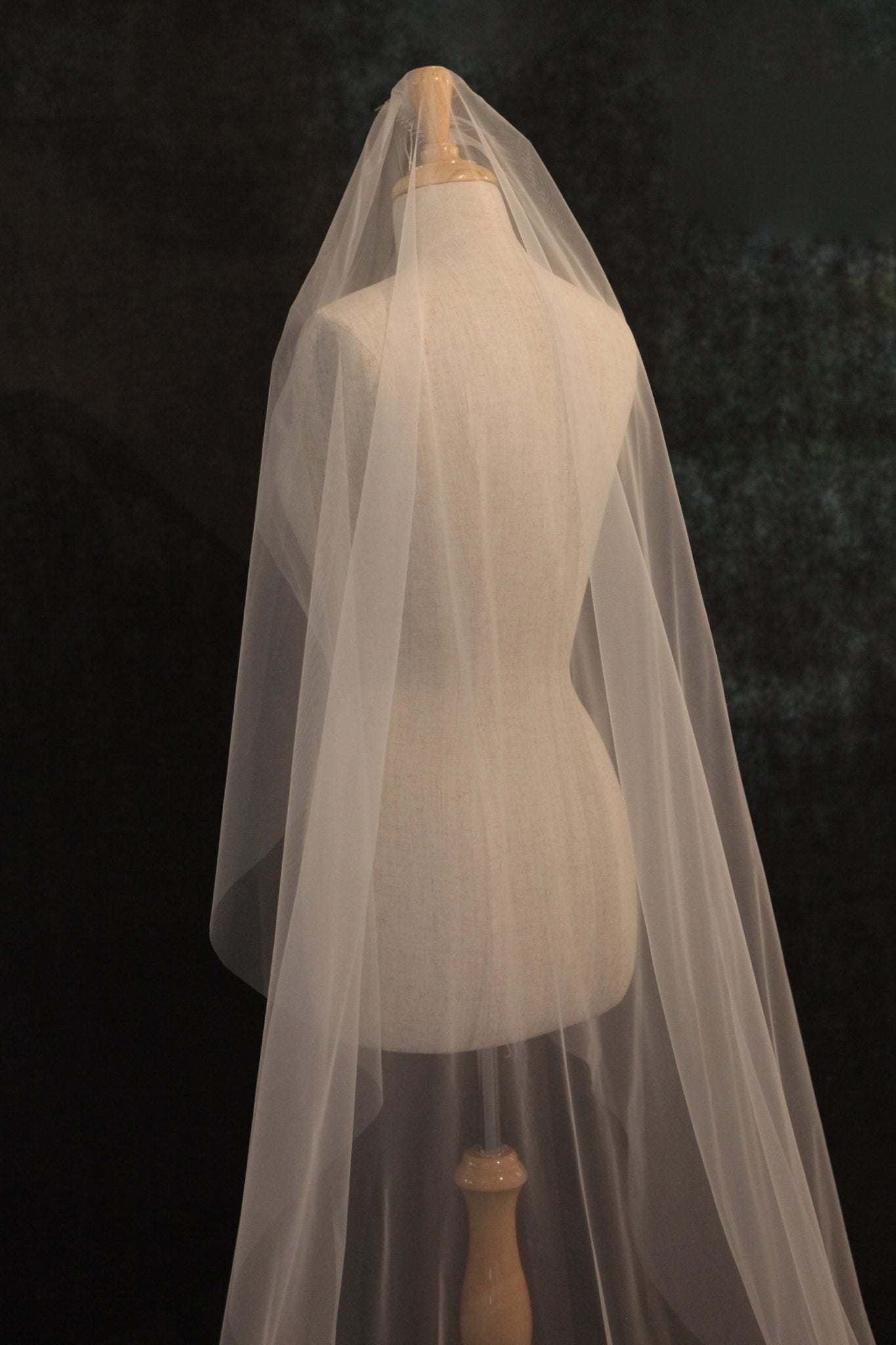 PLAIN VEIL