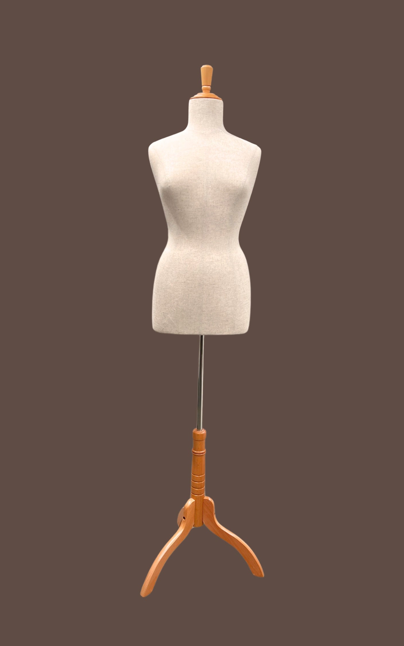 Hiring Female size 14 Mannequin – Torso with base