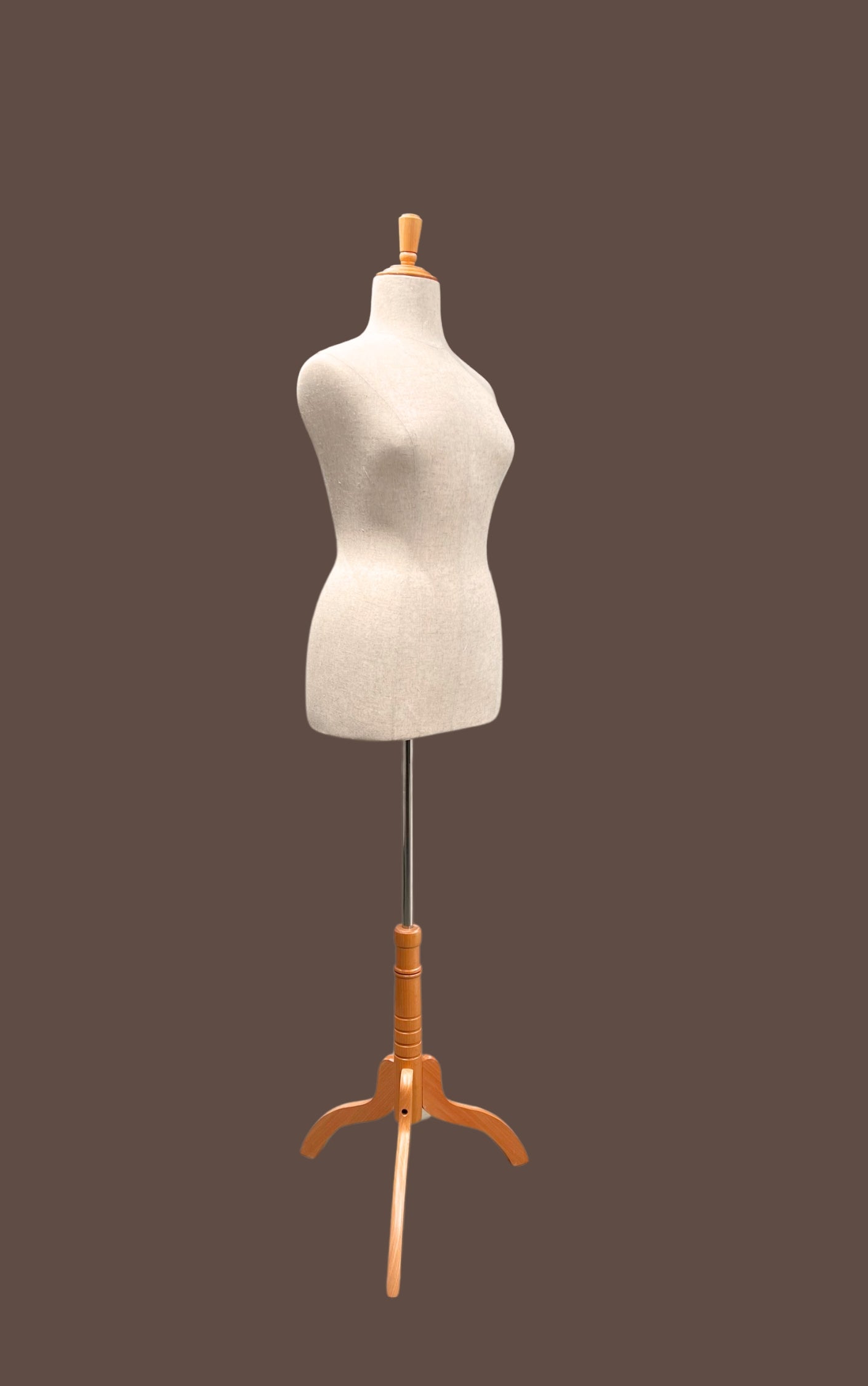 Hiring Female size 14 Mannequin – Torso with base