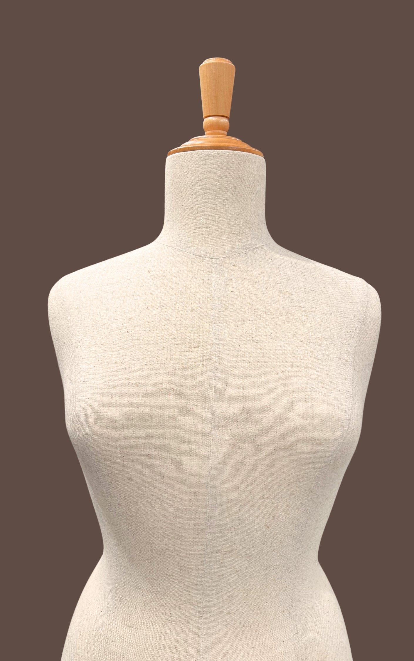 Hiring Female size 14 Mannequin – Torso with base