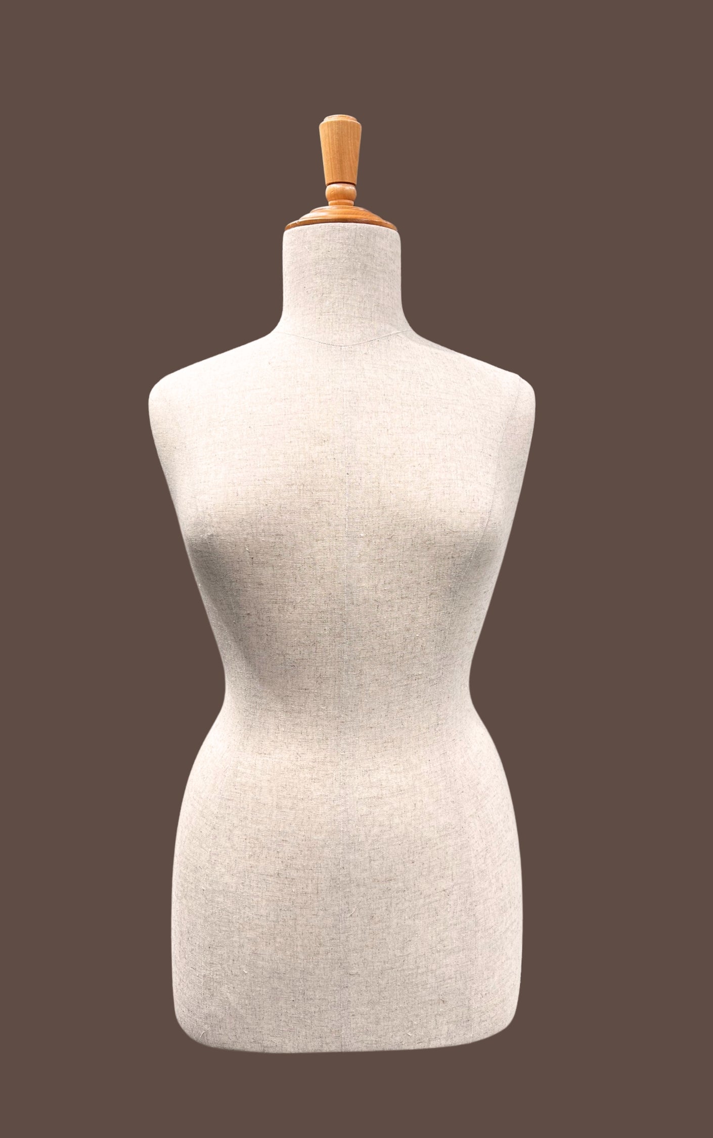 Hiring Female size 14 Mannequin – Torso with base