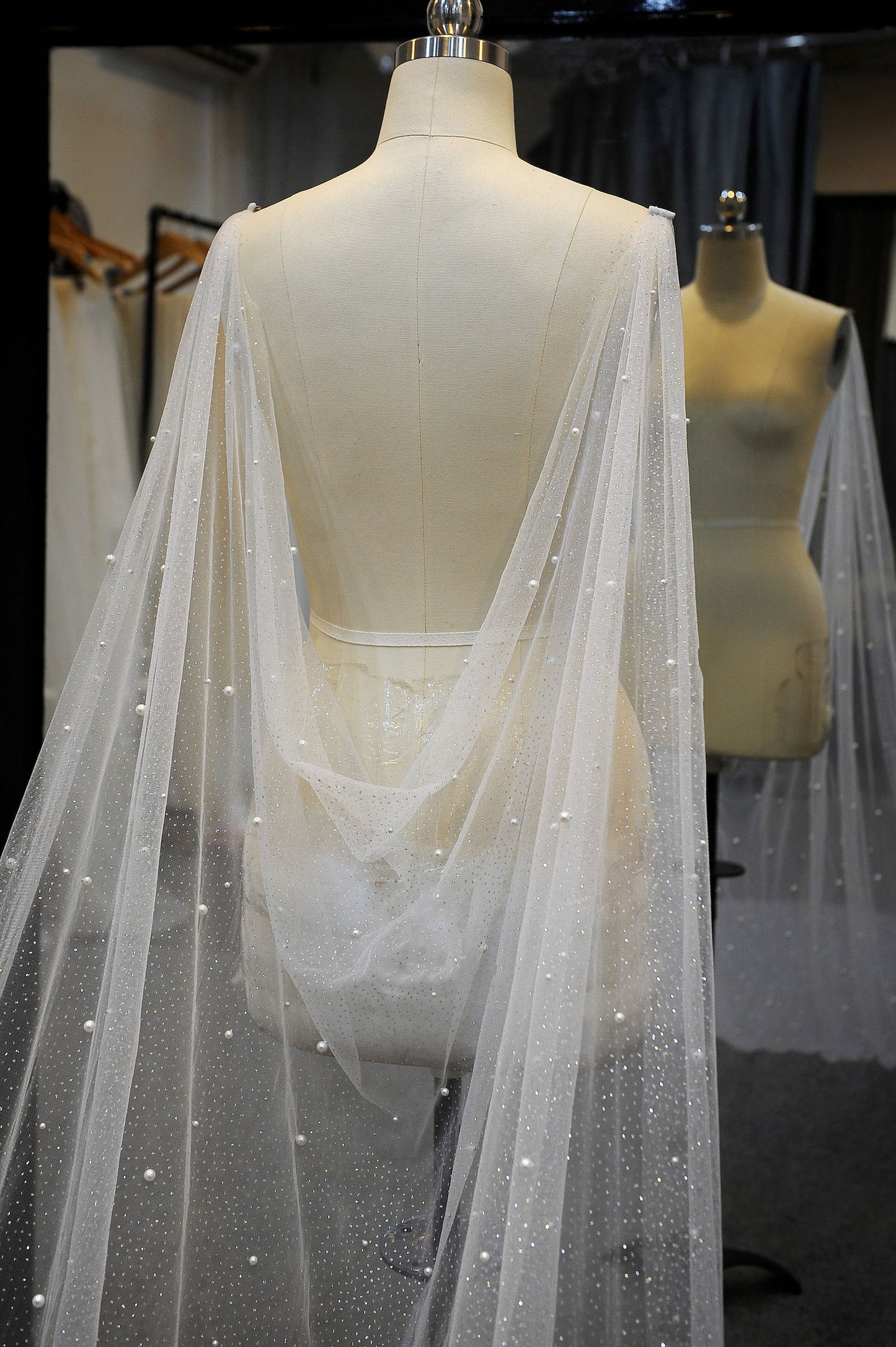 DANICA | Sparkling And Pearl Cape Veil