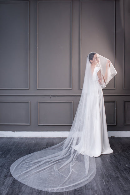 SPARKLE VEIL