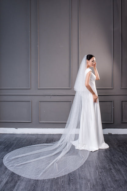 SPARKLE VEIL